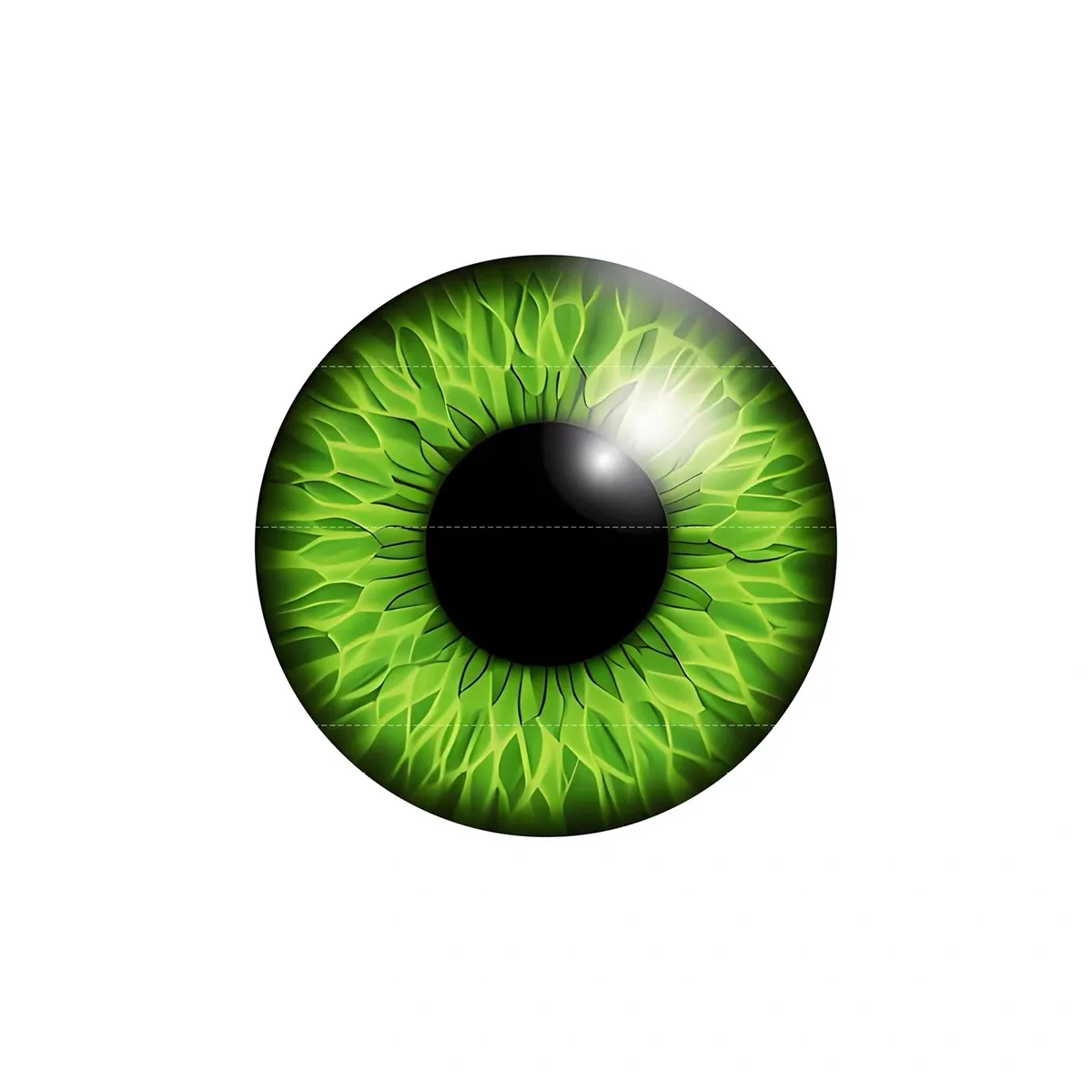 BJD SD Beast's Eye eyeball Pop - Ethnic Fashion Model review and price