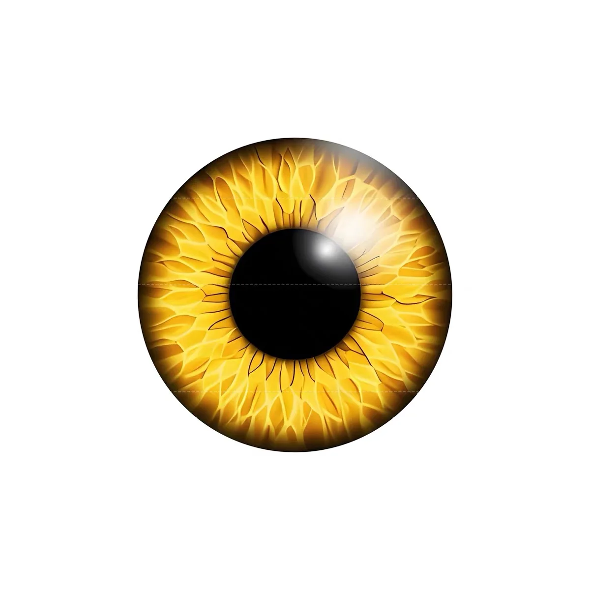 BJD SD Beast's Eye eyeball Pop - Ethnic Fashion Model review and price