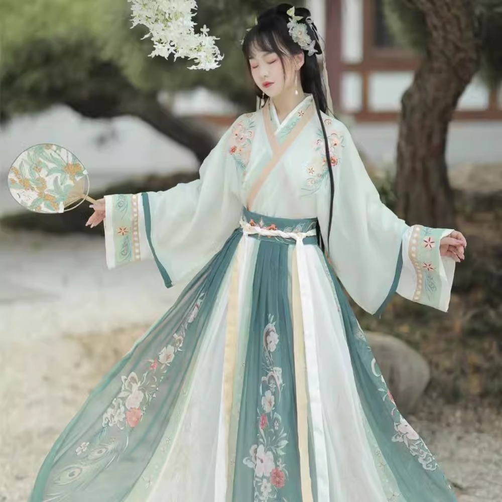 Hanfu Chinese Traditional Dres - Ethnic Style Dresses review and price